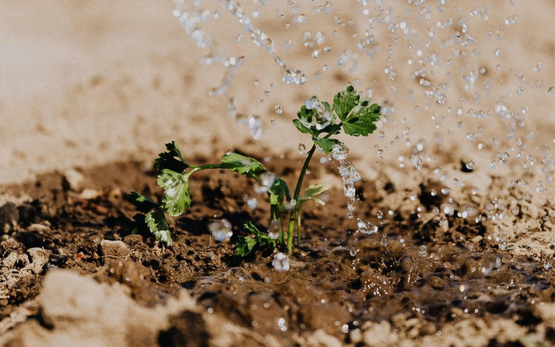 Identifying New Growth Opportunities